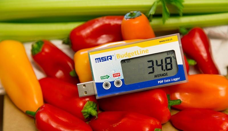 Înregistrator (Data Logger) Temperatură și Umiditate BudgetLine cu Afișaj MSR84 - thumbnail 2